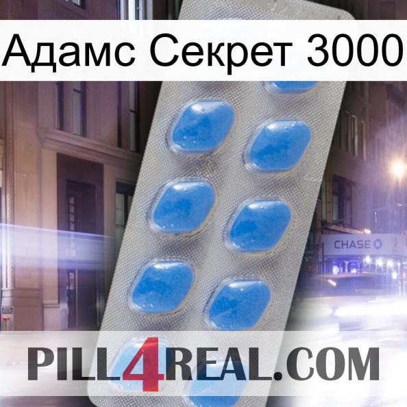 Адамс Секрет 3000 22.jpg